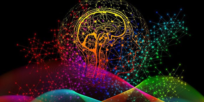 How the Right and Left Brain Process Speech