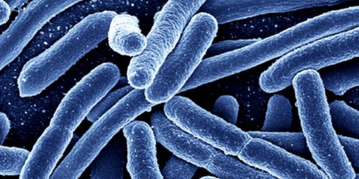 Safe water with DipTest