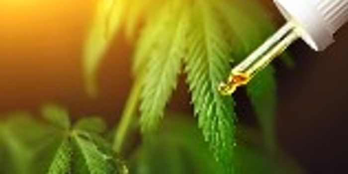 What are sublinguals and how do they work?