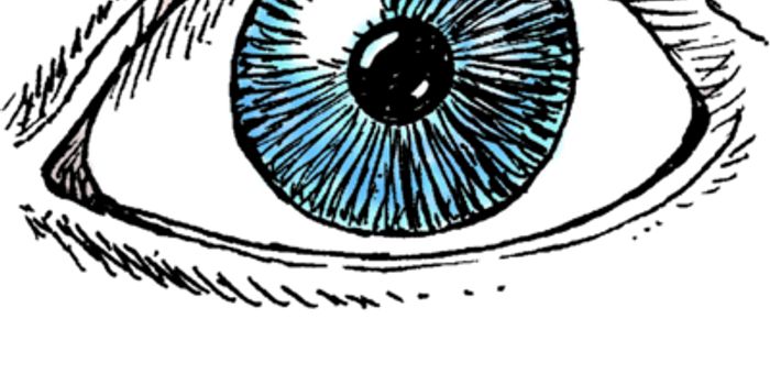 Better to See You With - Bacteria are Tiny Eyes