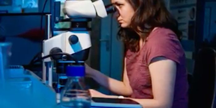 CRISPR can Seriously Damage the Genome