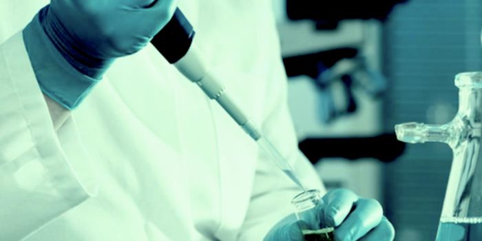 Engineers Use Live Tissue to Biohack 3D Structures