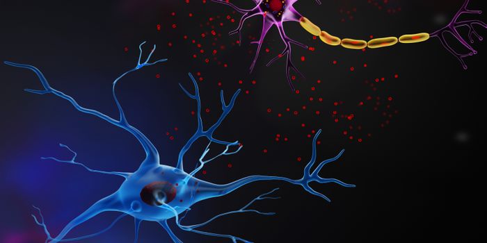 Brain Derived Exosomes; a non-invasive look inside the brain