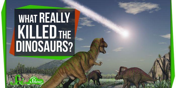 Iridium Anomaly and The Extinction of Dinosaurs