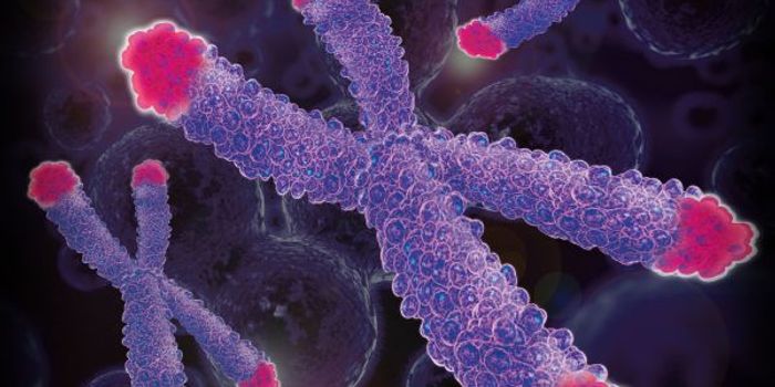 Blame It on the Telomeres