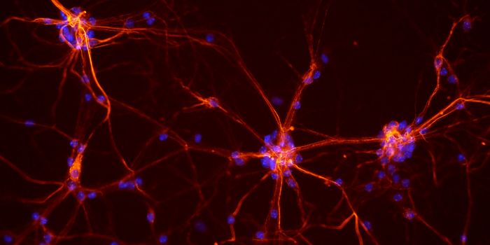 Protecting Neurons Caught in the Danger Zone