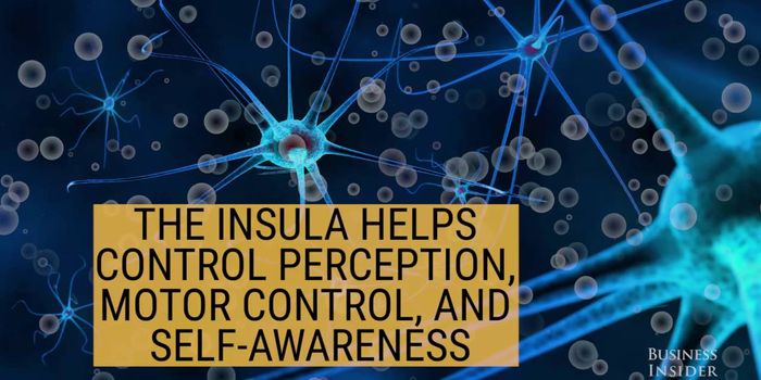 Water: The Easy Diet Trick?