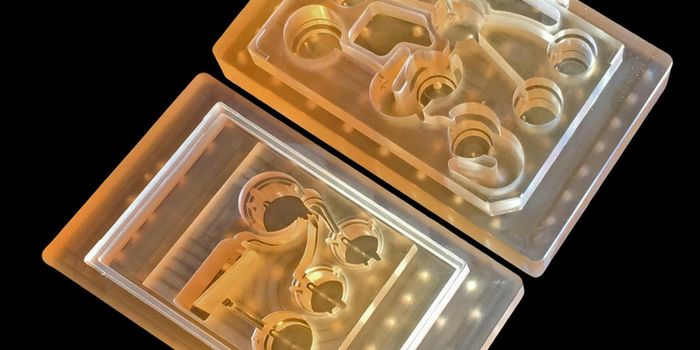 A New Way to Test Drugs and the Immune System