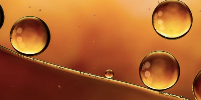 Intermittent Fasting Triggers Liver Cell Growth in Mice