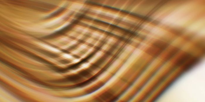 Understanding Why TET2 Mutations Often Lead to Cancer & Disease