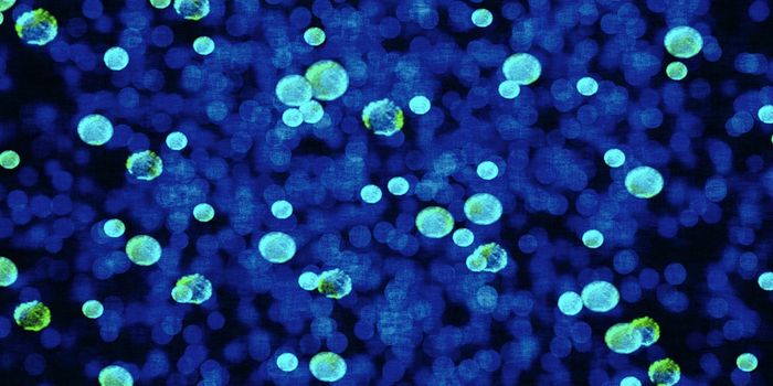 Revealing the Efficient Enzymes of Methane-Producing Microbes