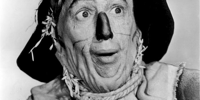 If I Only Had a Brain