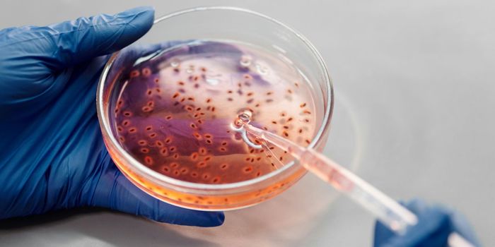 New Compound Fights Off Flesh-Eating Bacteria