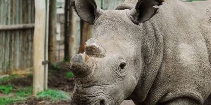 And Then There Were Six