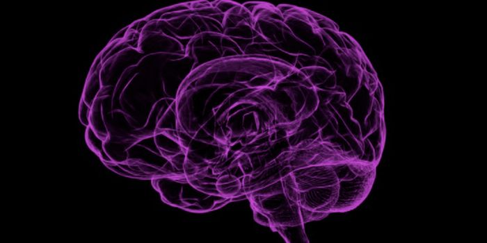 Ancient Viruses Boosted Vertebrate Brain Evolution