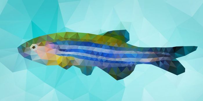 Zebrafish Bacterial Gut Protein Delays Death by Septic Shock