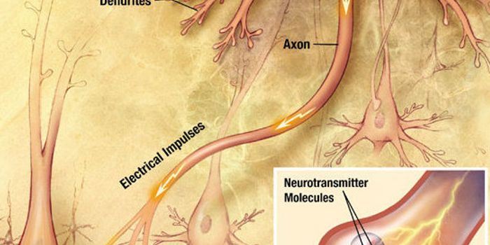 The Synergistic Mystery of the Entourage Effect