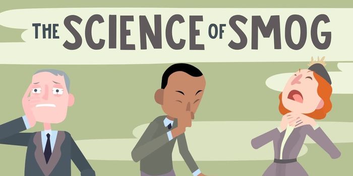 The Science of Smog