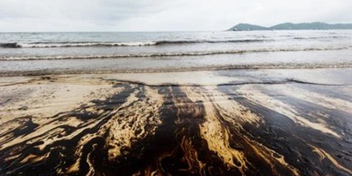 Humans, not nature, are responsible for over 90% of the world's oil spills