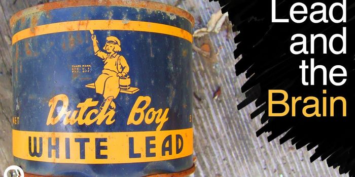 The Neurotoxic Effects of Lead