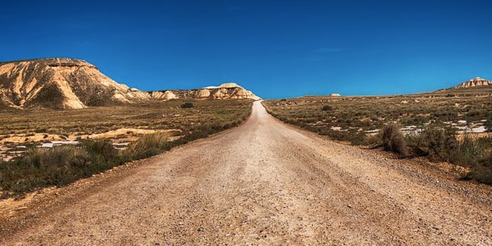 A Massive Nevada Lithium Reserve, the Subject of Studies, Legal Fights, & Extractions