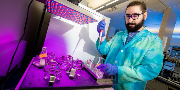 Grad Student Highlights: David Handy (Florida Institute of Technology)