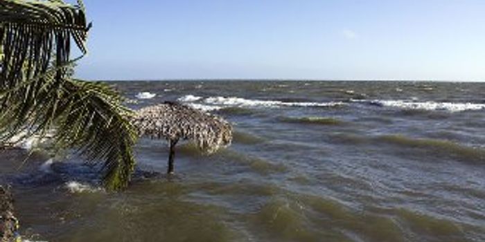 High-Resolution Model Can Predict Storm Surge Flooding at Street Level