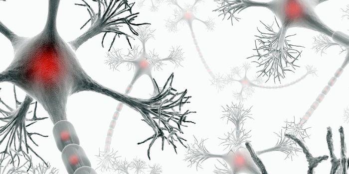 4 New Risk Genes Discovered for Multiple Sclerosis
