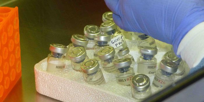 Experimental Vaccine Created to Tackle the Opioid Crisis