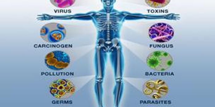 Genetics Influence Immune System Much More Than Previously Thought