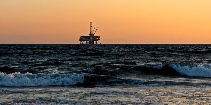 Deepwater Horizon: 10 Years Later