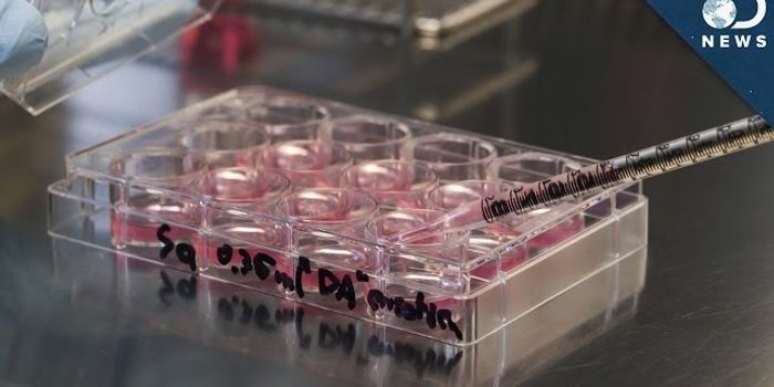 Will This New Stem Cell Treatment End The Controversy?