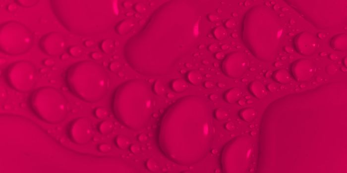 COVID Triggers Abnormalities in Immune Monocytes