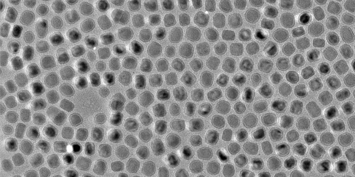 Iron Nanoparticles Reign in the Immune Attack on Cancer