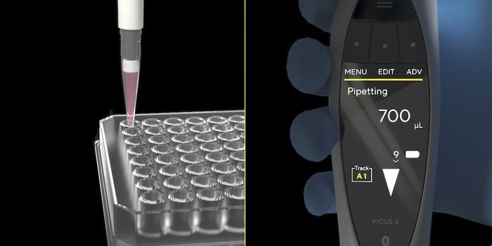 Mastering Precision in 3D Cell Culture Techniques