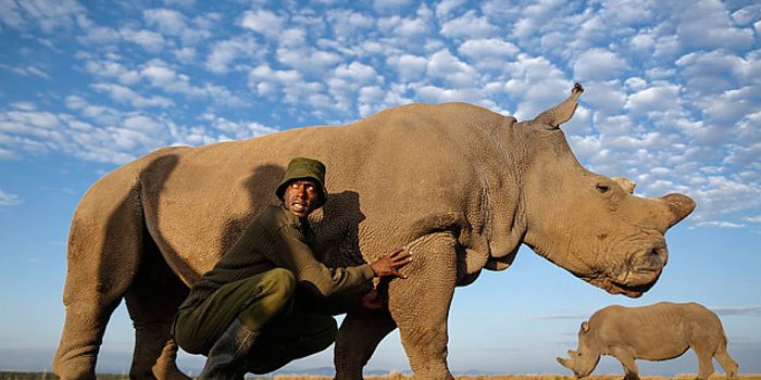 Night vision: the super power for anti-poaching efforts