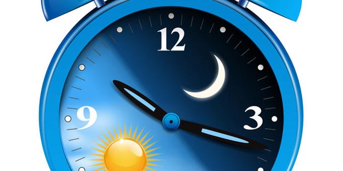 Dynamics of Narcolepsy