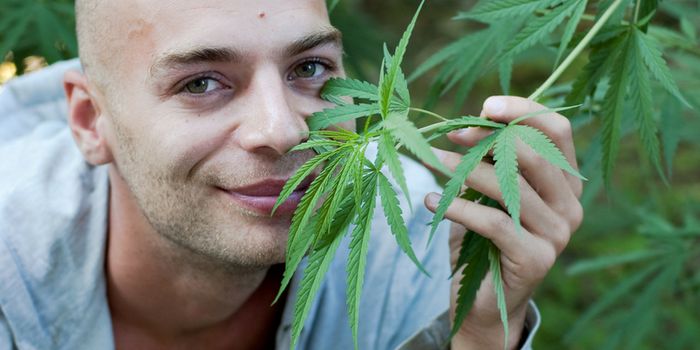 Right to Try Law Does Not Include Medical Cannabis