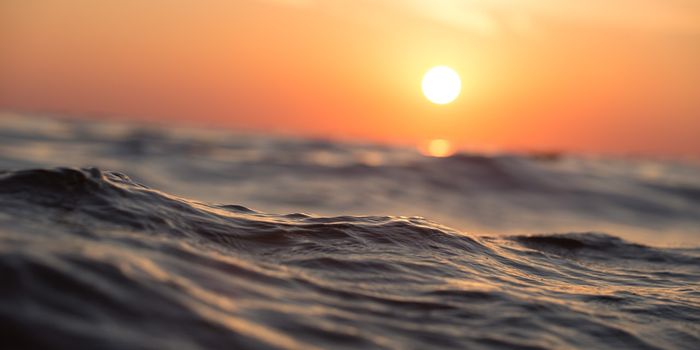 New Battery Tech "Squeezes" More Electricity out of Seawater