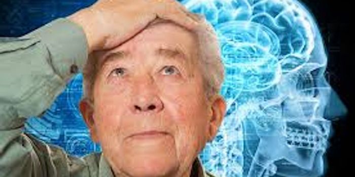 How Aging Brain Changes Hints at Ways to Slow Its Decline