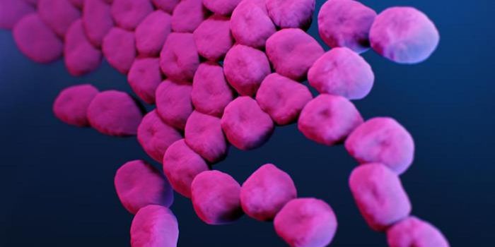 Some Hospital Infections Come From the Patient's Own Bacteria