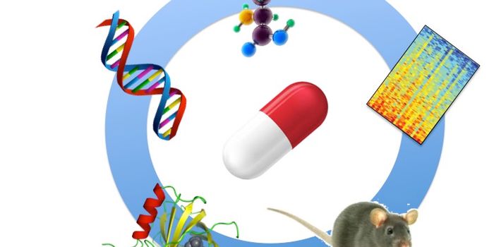 Methods Used in Drug Discovery and Development