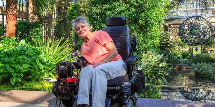 App Offers Assessment for Multiple Sclerosis