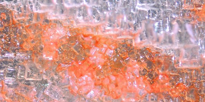 Three Domains of Life Are More Similar Than We Realized