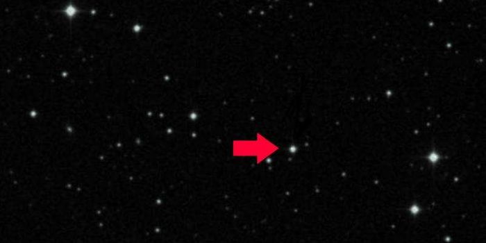 There Are Only 7 Stars Like This One in the Milky Way