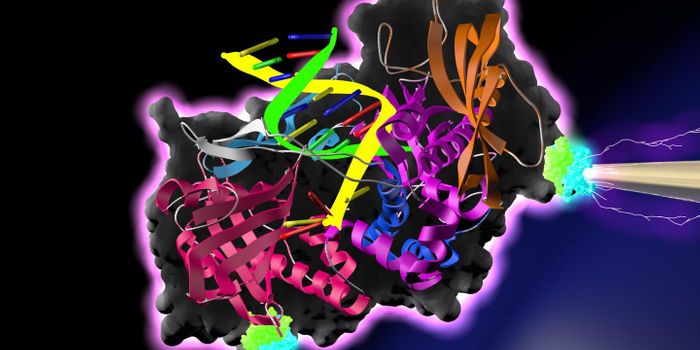 Researchers Explore the Electricity-Conducting Power of Proteins