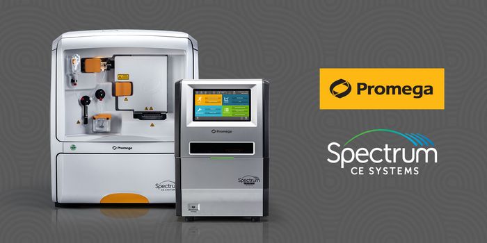 Big and Powerful or Small and Mighty: CE Instruments for STR Analysis