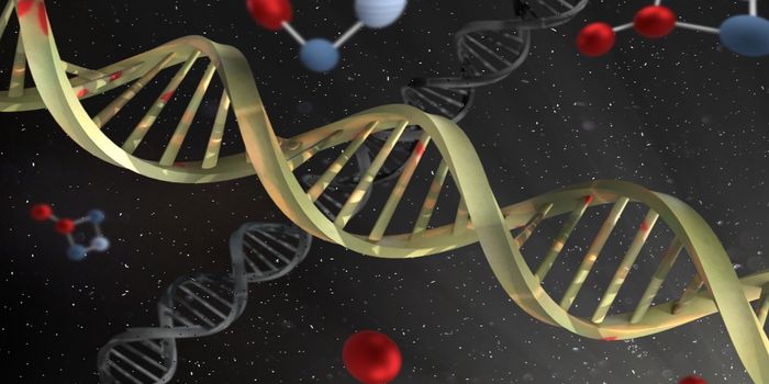 'Junk' DNA May Stall Replication, Increasing Cancer Risk