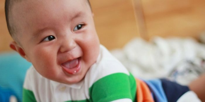 What's Happening In The Infant Brain?