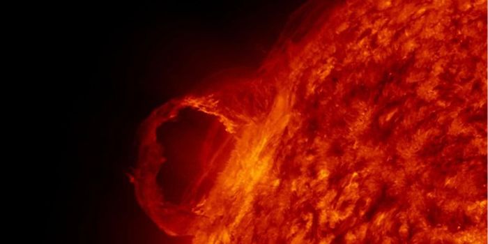 Why Does a Solar Cycle Last for 11 Years? Scientists Might Have Found the Answer